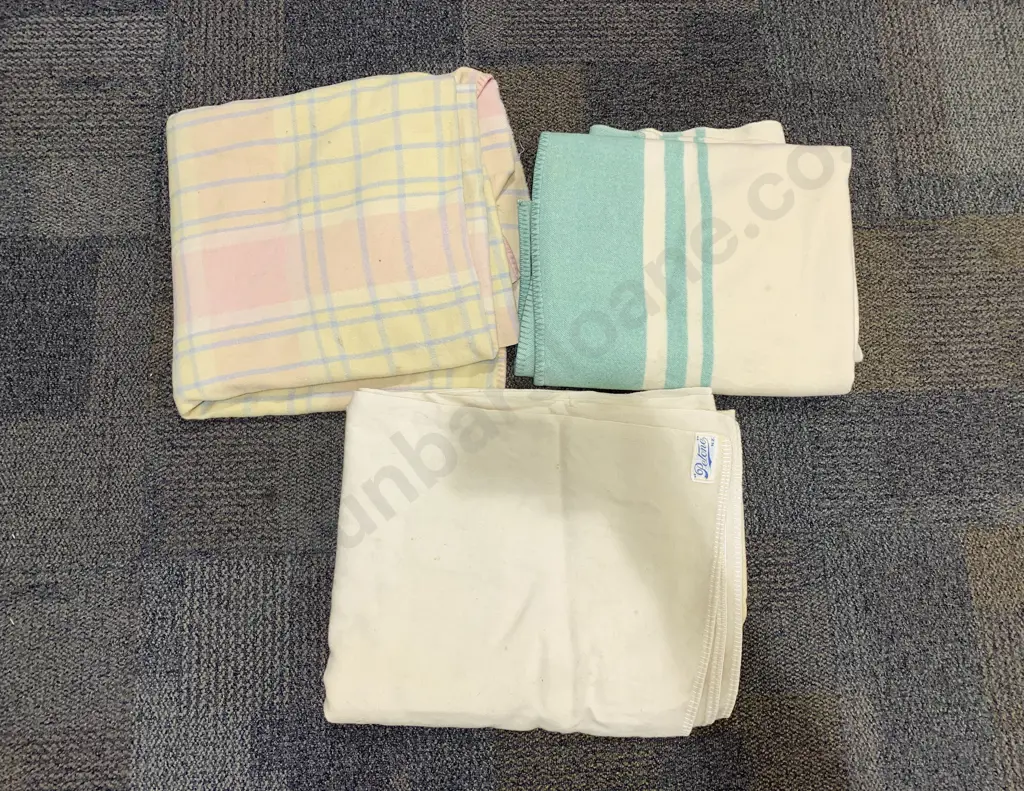 Three Vintage Petone Hospital Woollen Blankets Image 1++