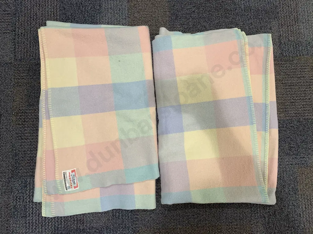 Pair of Petone Hospital Woollen Blankets Image 1++