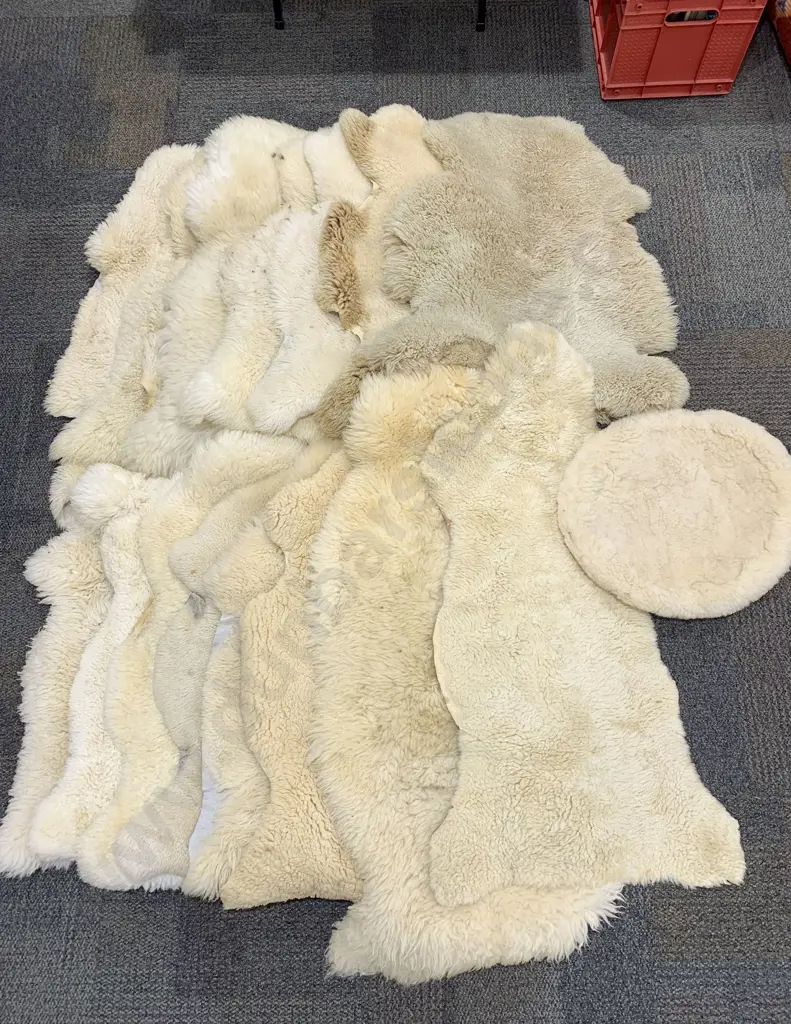 Qty of Assorted Sheep Skin Rugs Image 1++