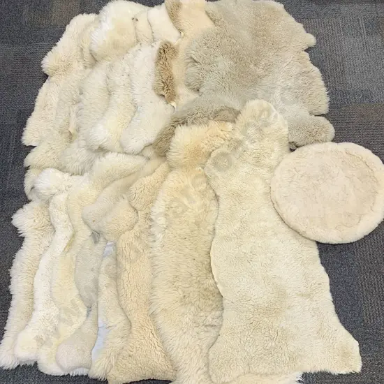 Qty of Assorted Sheep Skin Rugs