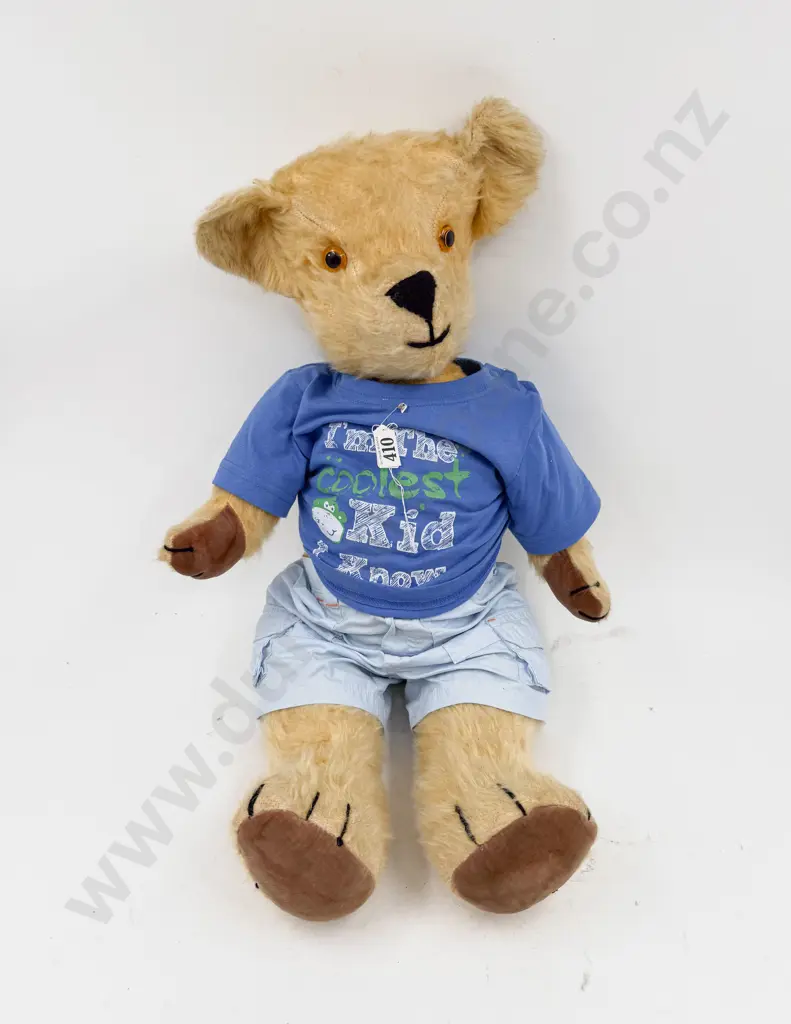 Mid C20th Pedigree Teddy Bear Image 1++