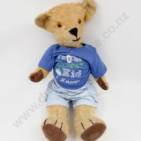 Mid C20th Pedigree Teddy Bear
