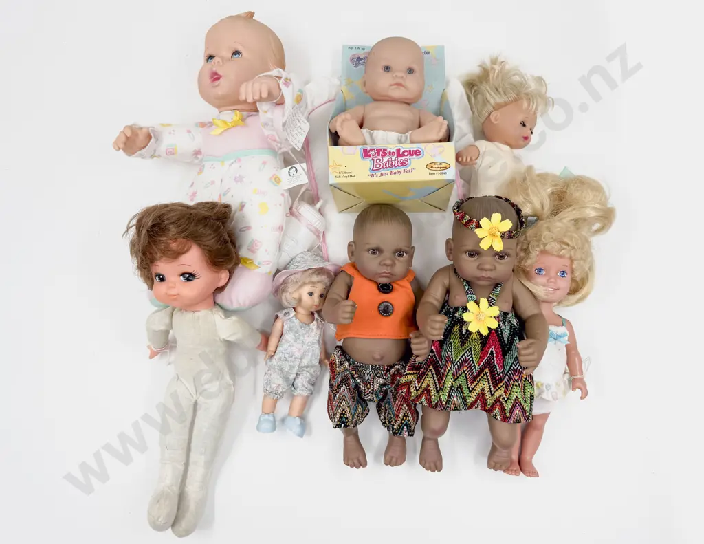 Collectable Modern Vinyl Play Dolls Image 1++