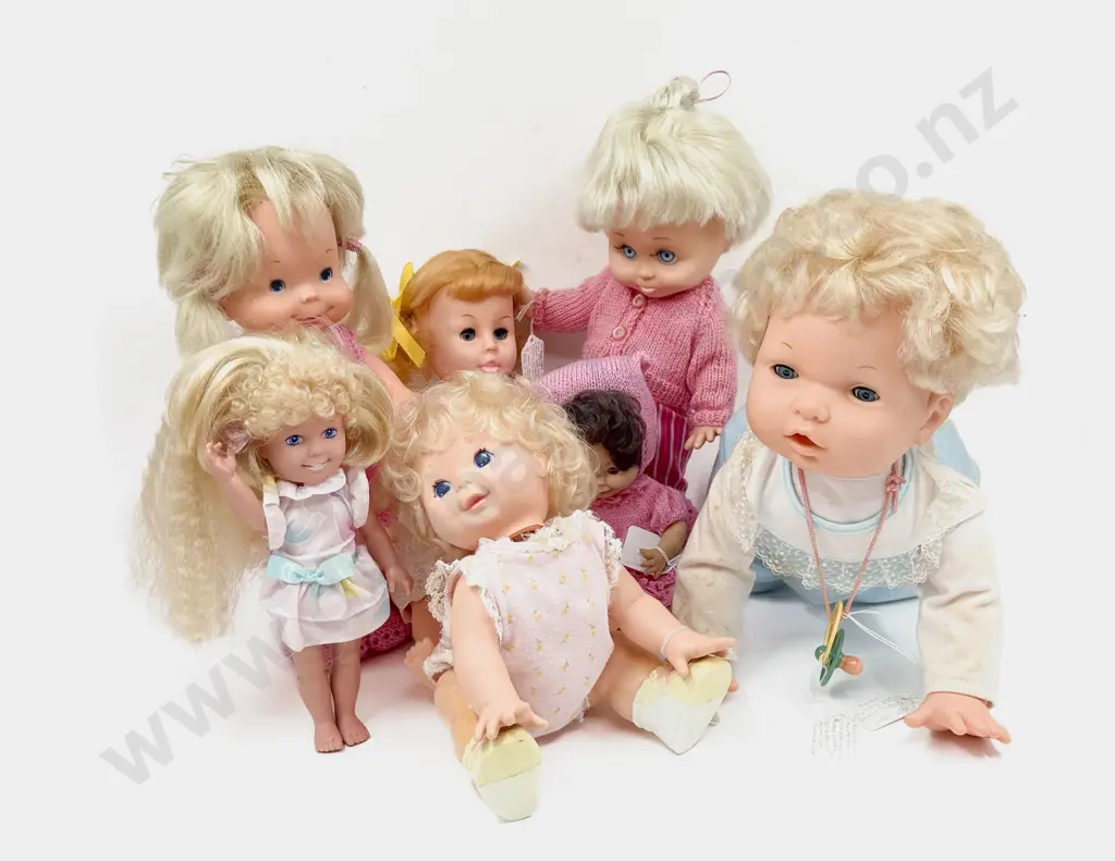 Collectable Modern Vinyl Play Dolls Image 1++