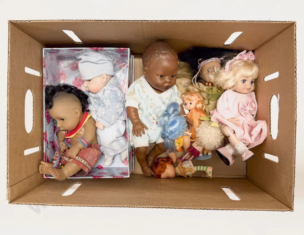 Collection of New Vinyl Collectable Play Dolls Image 1++