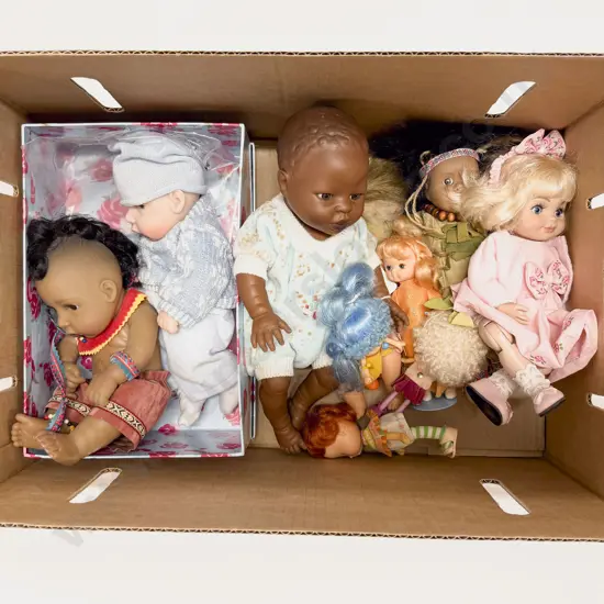 Collection of New Vinyl Collectable Play Dolls