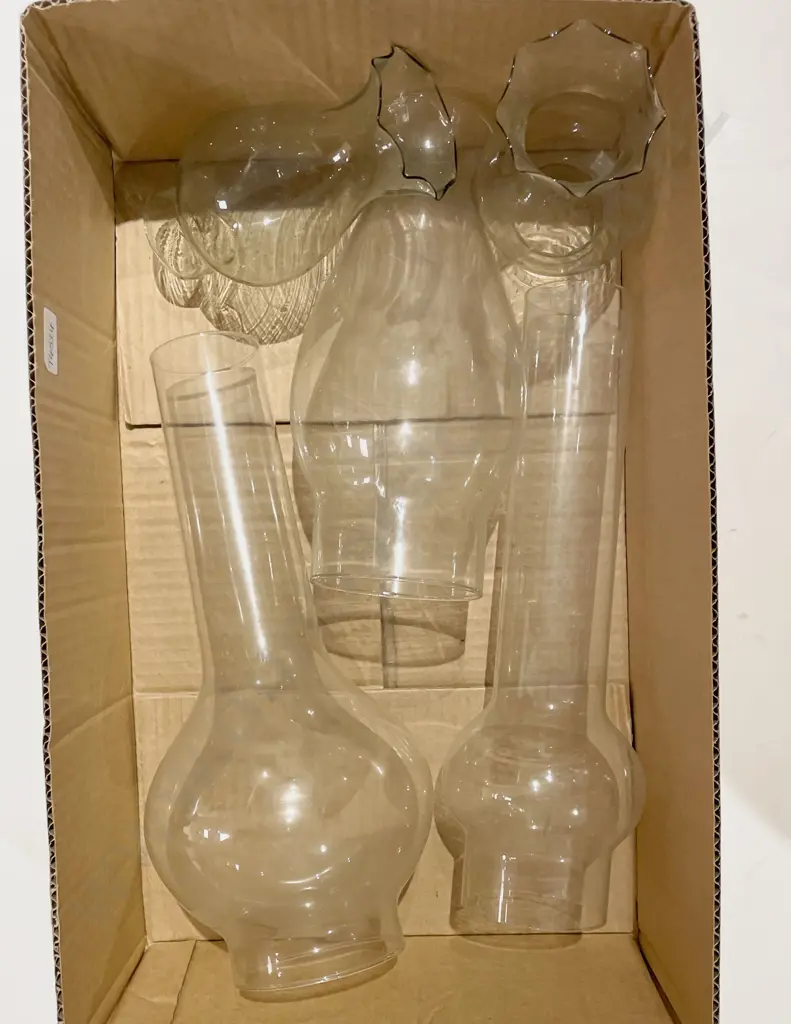 Two Boxes of Assorted Light Fittings and Glass Shades Image 1++