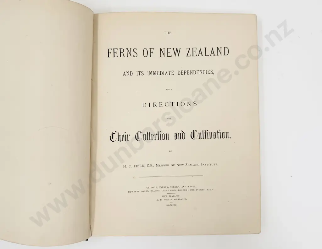 Ferns of New Zealand Image 1++