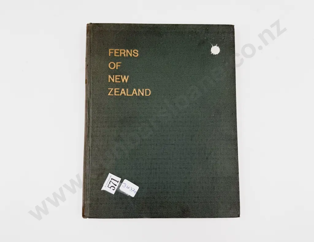 Ferns of New Zealand Image 1++