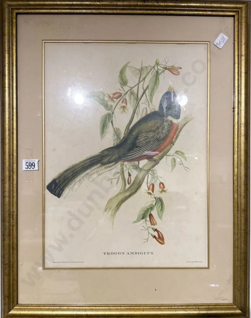 After James Gould, Set Of 4 Coloured Bird Prints Image 1++