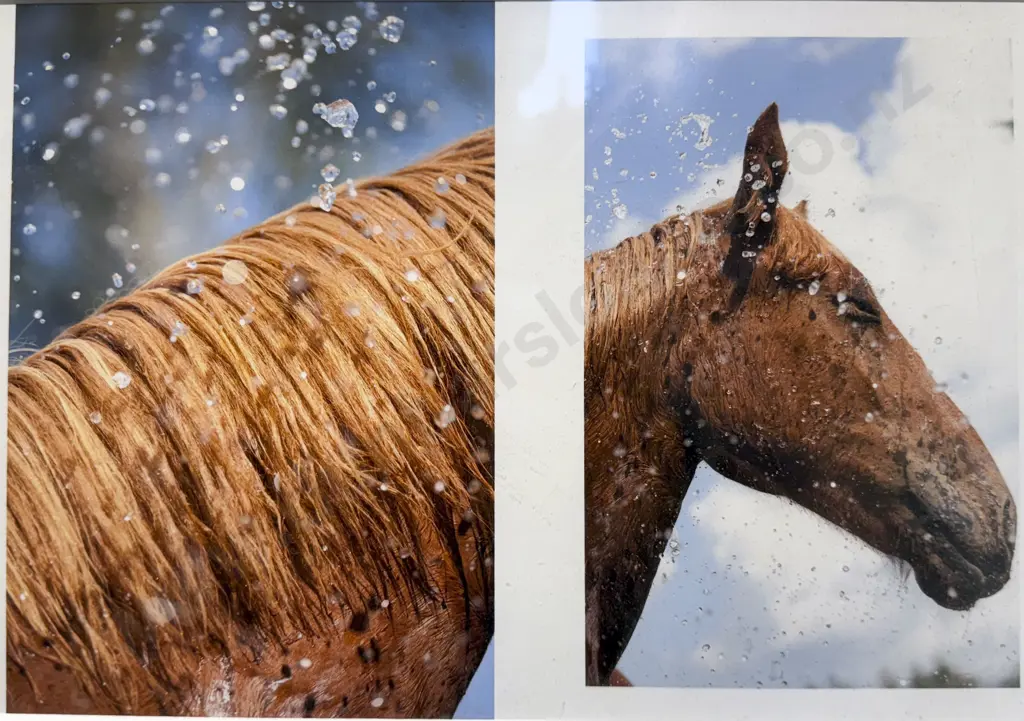 Frances Hodgkins & Raymond McIntyre Reproduction Prints & Other Image 1++