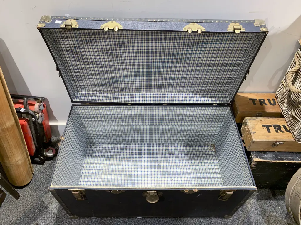 Travel Trunk Image 1++