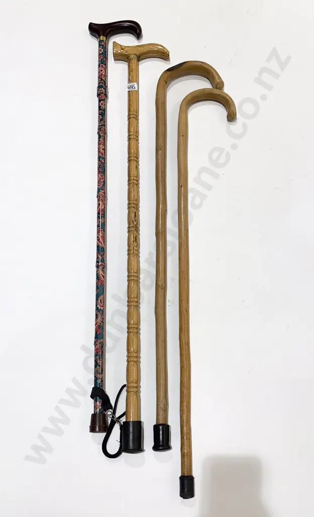Four Assorted Walking Sticks Image 1++