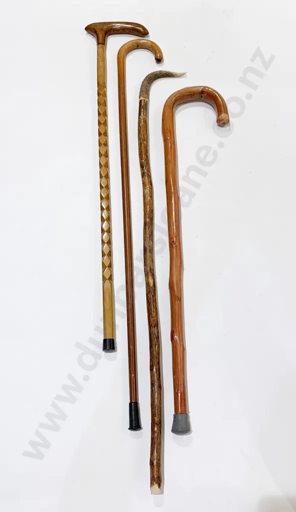 Four Assorted Walking Sticks Image 1++