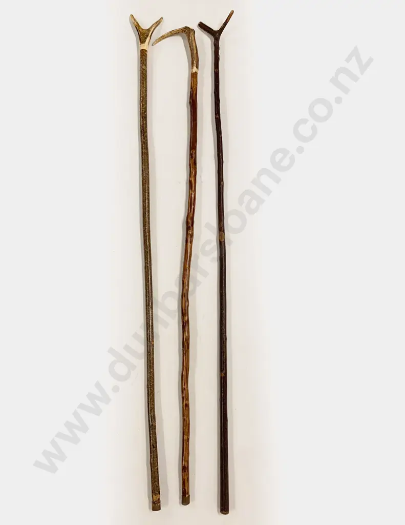 Three Assorted Walking Sticks Image 1++