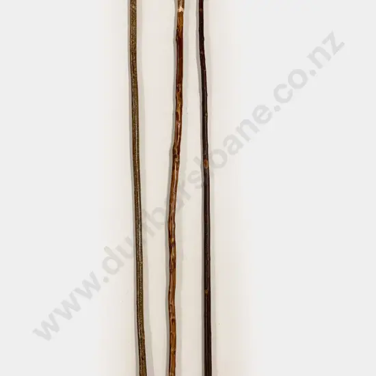 Three Assorted Walking Sticks