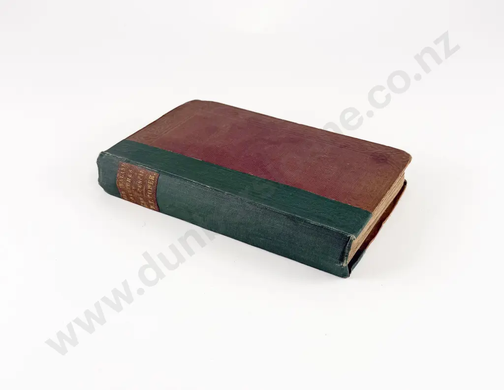 Power W Tyrone - Sketches in New Zealand With Pen And Pencil Image 1++