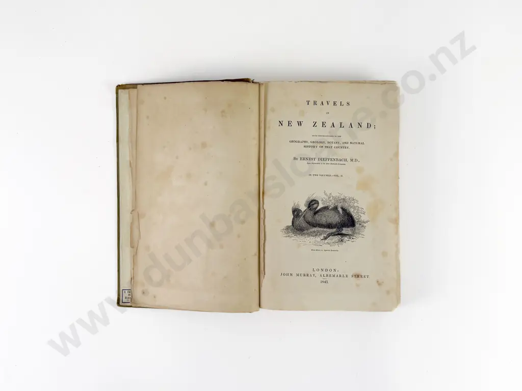 Dieffenbach Ernest - Travels in New Zealand (2 Volumes) Image 1++