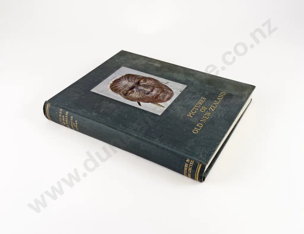 Cowan James - Pictures of Old New Zealand Image 1++