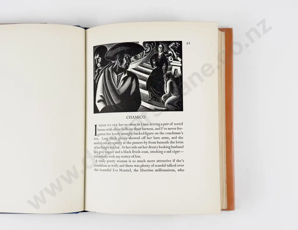 Phibbs Richard (Trans) The White Llama Image 1++