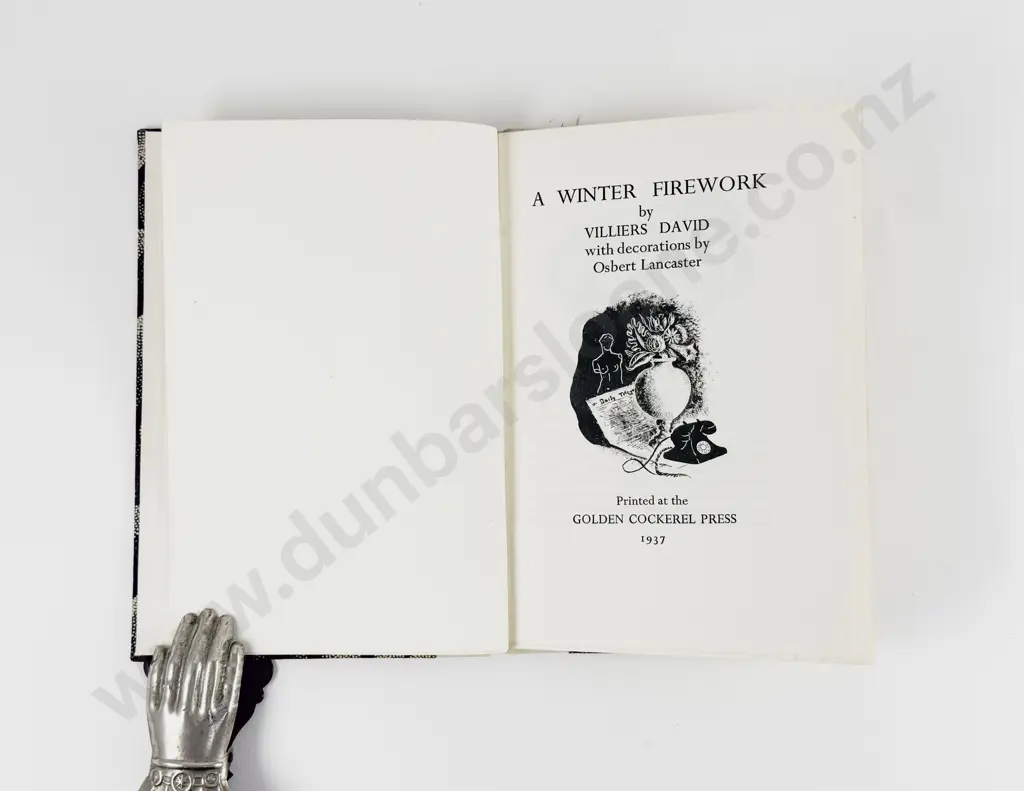 Villiers David - A Winter Firework Image 1++