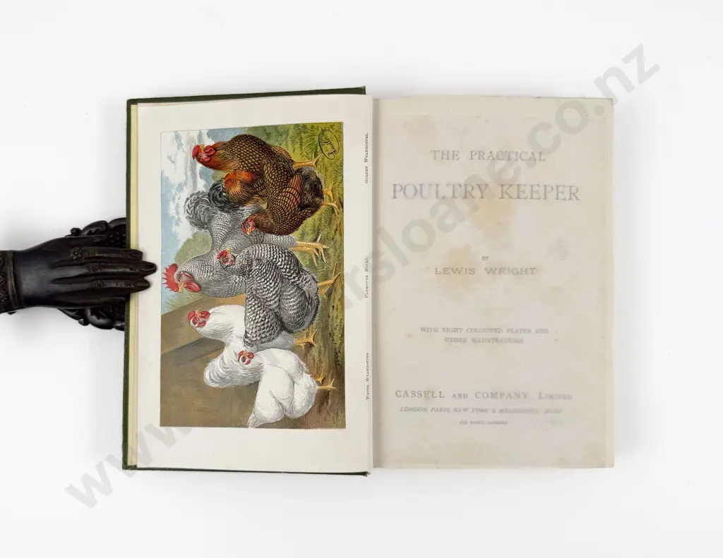 Wright Lewis - The Practical Poultry Keeper Image 1++
