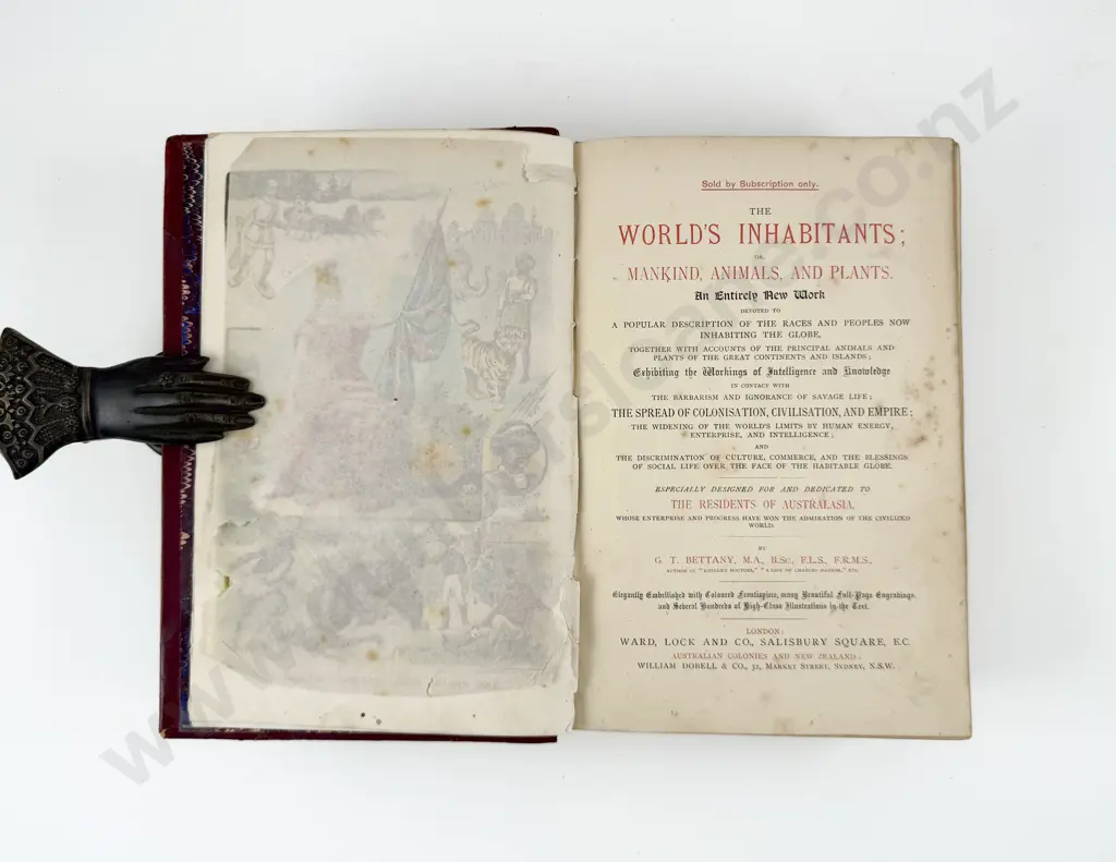 Bettany G T - The World's Inhabitants Image 1++