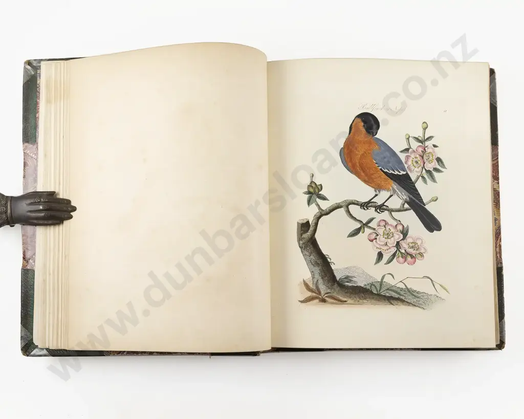 Bolton James - Harmonia Ruralis (2 Volumes in 1) Image 1++