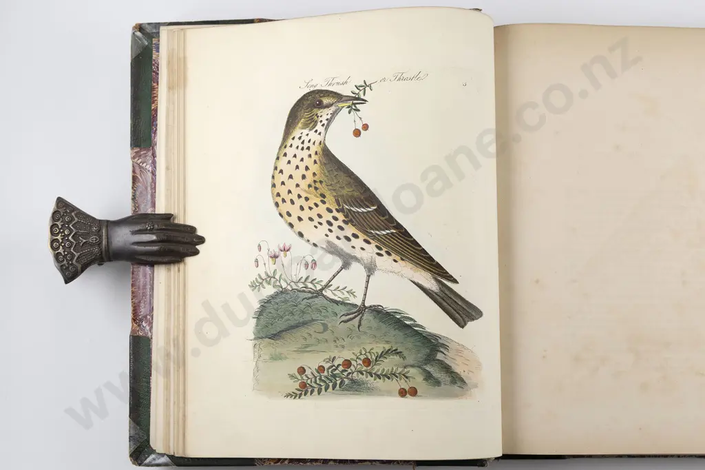 Bolton James - Harmonia Ruralis (2 Volumes in 1) Image 1++