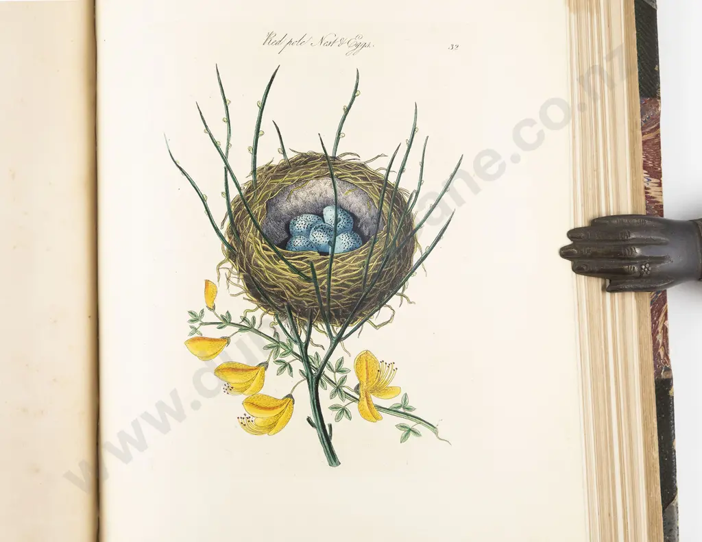 Bolton James - Harmonia Ruralis (2 Volumes in 1) Image 1++