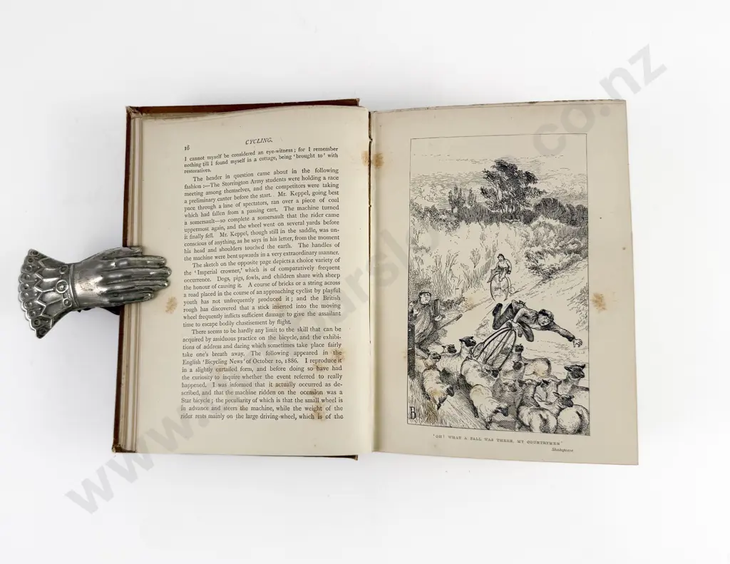 Bury Viscount & Hillier G Lacy - Cycling Image 1++