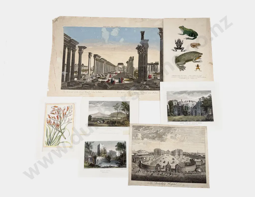 Group Of 18th & 19th Century Engravings & Prints Image 1++