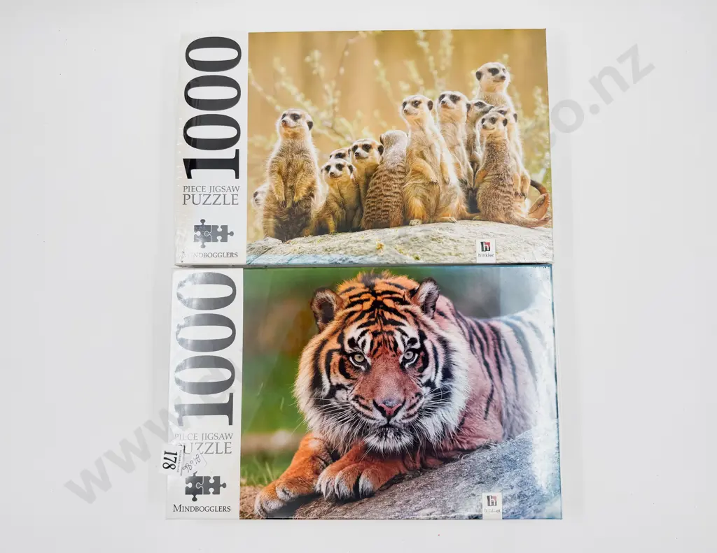 Two As New 1000 Piece Jigsaw Puzzles Image 1++