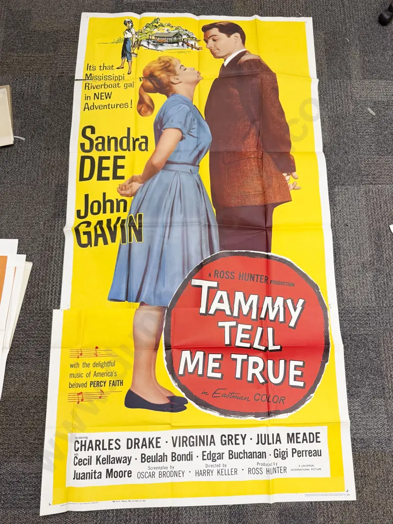 Quantity of Assorted Vintage Movie Posters Image 1++