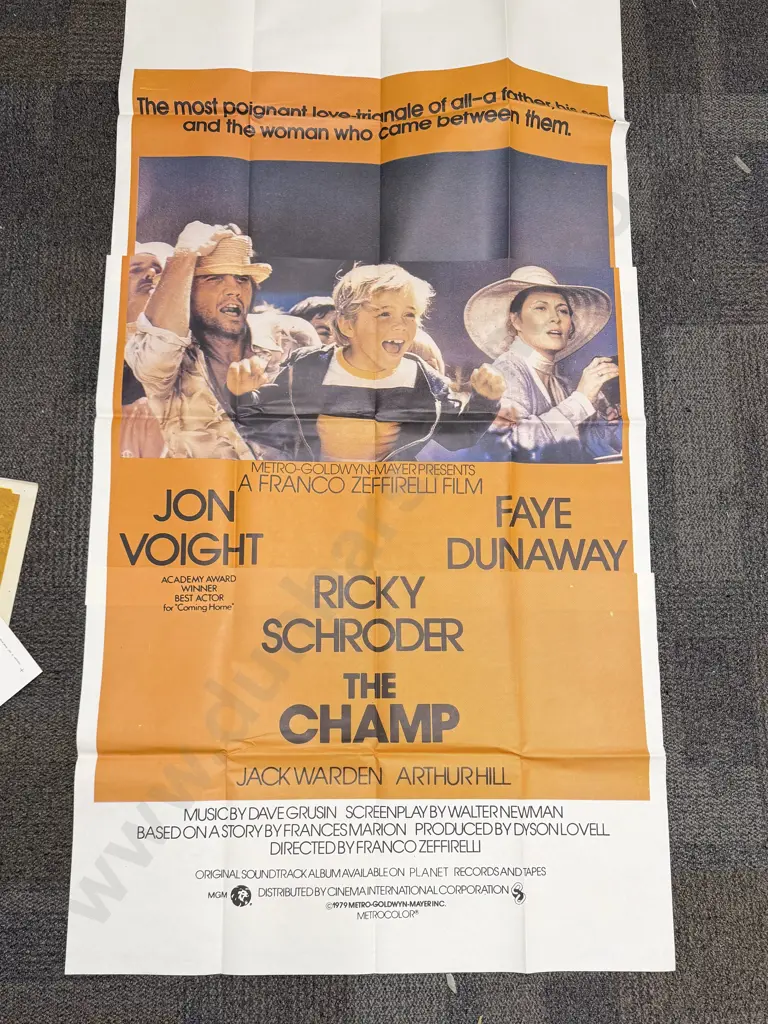 Quantity of Assorted Vintage Movie Posters Image 1++