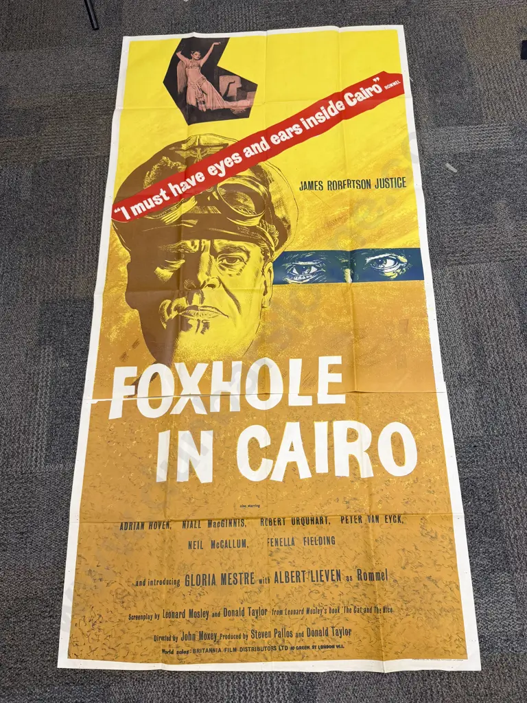 Quantity of Assorted Vintage Movie Posters Image 1++