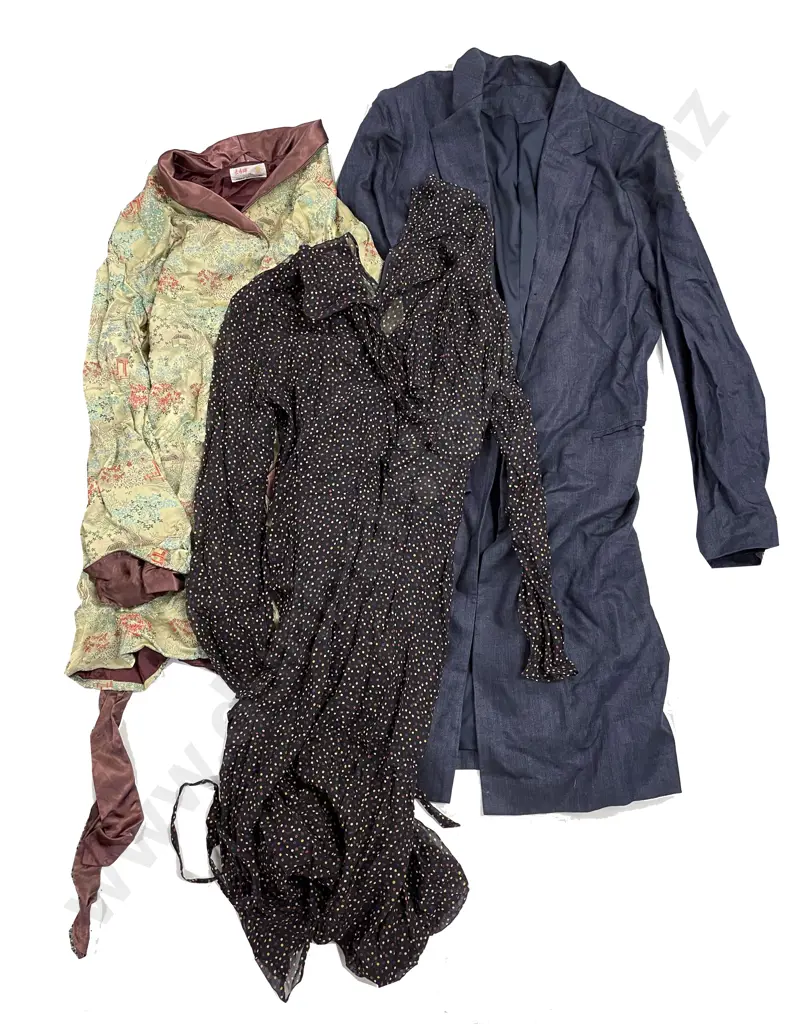 Small Chinoiserie Jacket & Belt with Blazer & NZ Made Dress Image 1++