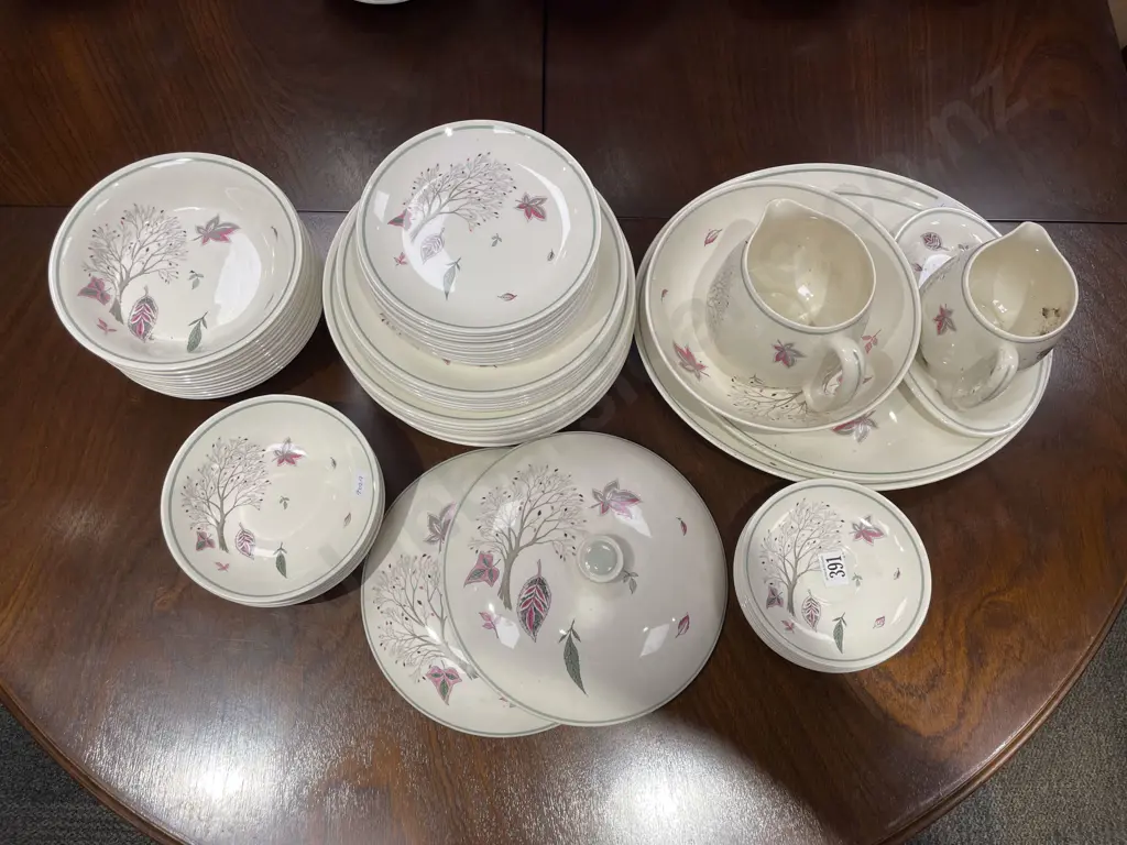 Crown Ducal "Ash Grove" Dinner China Image 1++