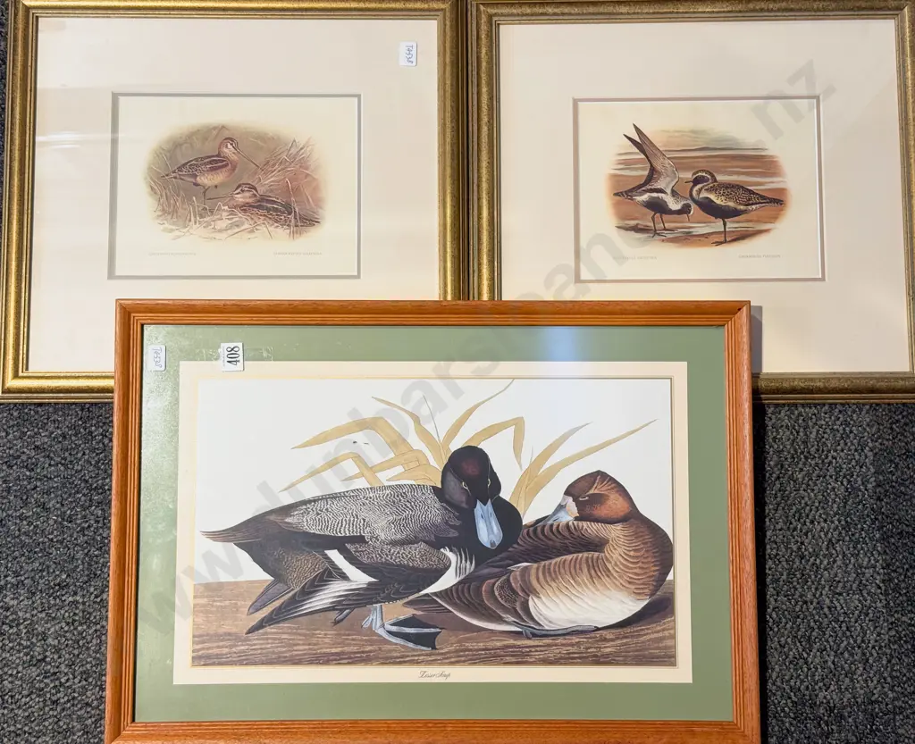 Pair of Bird Study Prints & Other Bird Study Image 1++