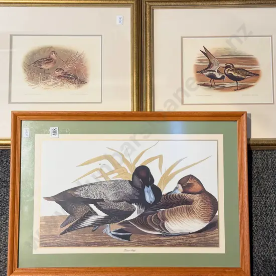 Pair of Bird Study Prints & Other Bird Study