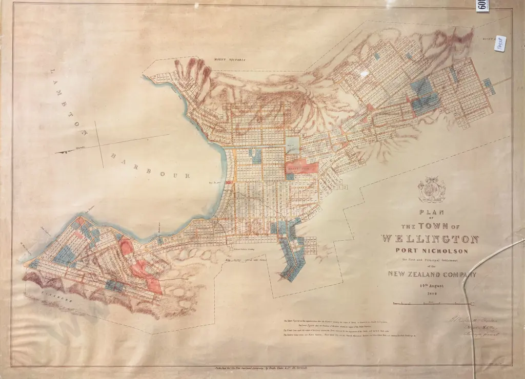 Plan of The Town of Wellington Port Nicholson 1840 Image 1++