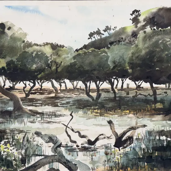 Douglas Chris - Watercolour