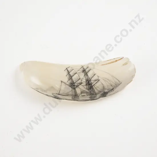 Whale Tooth with Early to Mid C20th Scrimshaw of Tall Ship