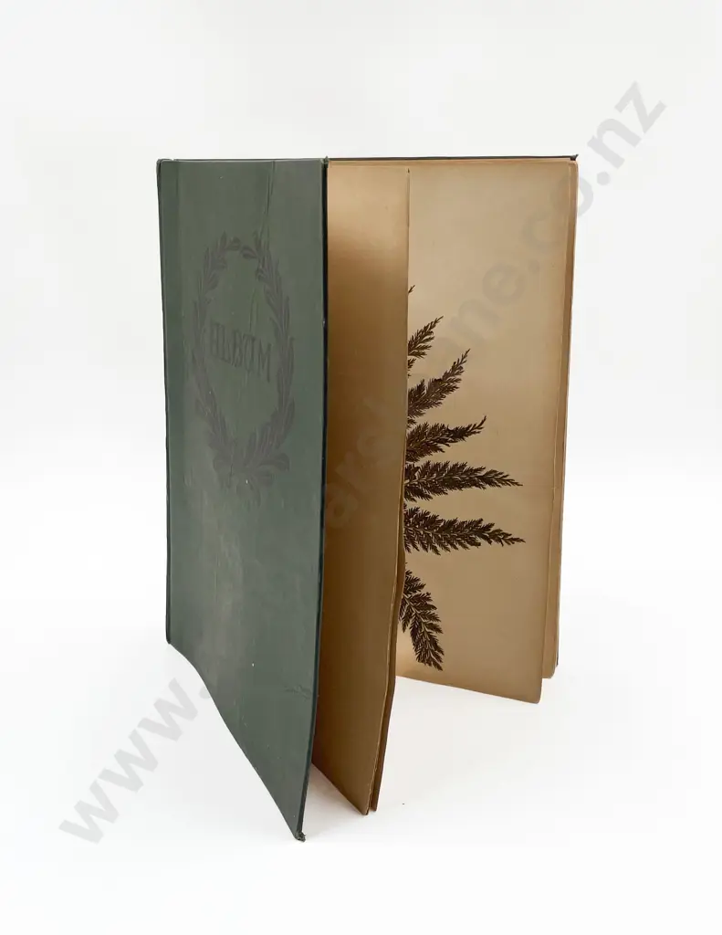Early Colonial Album of Pressed NZ Ferns Image 1++