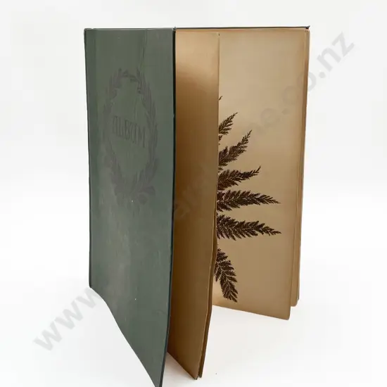 Early Colonial Album of Pressed NZ Ferns