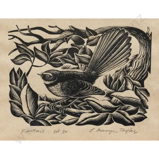 E Mervyn Taylor - Fantail