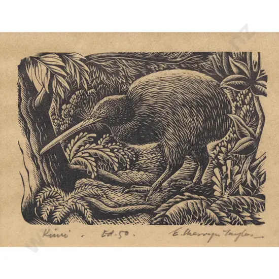 E Mervyn Taylor - Kiwi