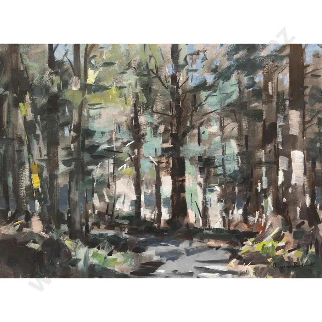 Douglas Badcock - Beech Forest - Eglinton Valley Image 1++