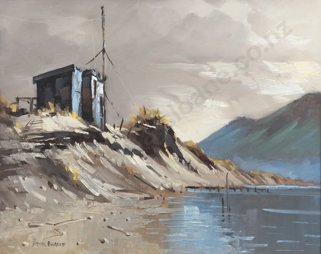 Peter Beadle - Whitebaiter's Hut - Martin's Bay Lagoon - Fiordland Image 1++