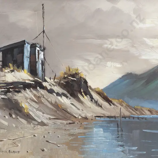 Peter Beadle - Whitebaiter's Hut - Martin's Bay Lagoon - Fiordland